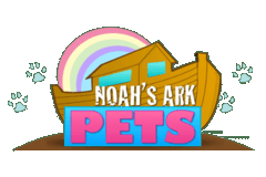 378.47% Boost in Website Traffic : SEO Case study